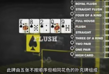新手小白教学【第一阶段】6集