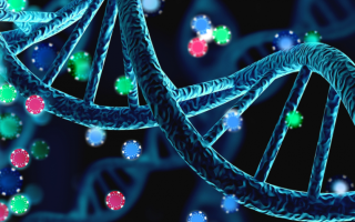 为什么有些人天生擅长德州扑克,这取决于DNA?