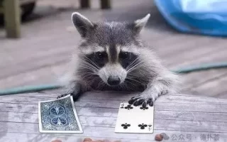 牌桌质量决定赢率!