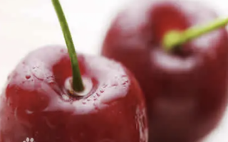 【身体】健康水果