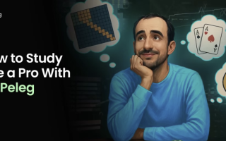 【soft skill】职业牌手的复盘心法:从单手牌到全范围策略