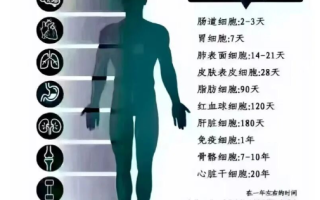 【身体】如何将身体恢复到完美状态？