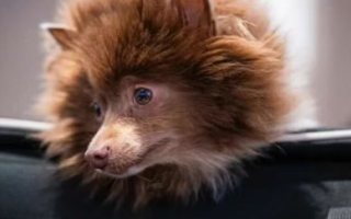 一边盈利一边崩溃：一位23岁职业牌手的真实困局