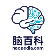 【认知】脑百科
