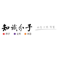 【认知】知识分子
