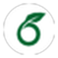 Overleaf