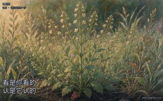 看是你看的,认是它认的