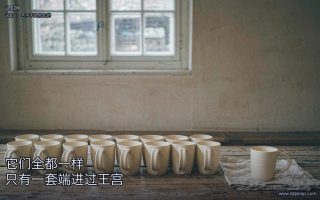 贵,有时候不是它自己长出来的